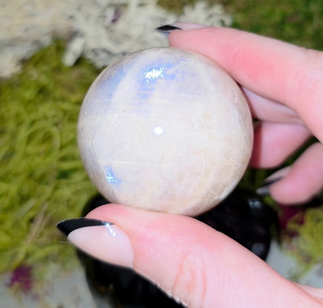 Moonstone Sphere on a Black Vase B
