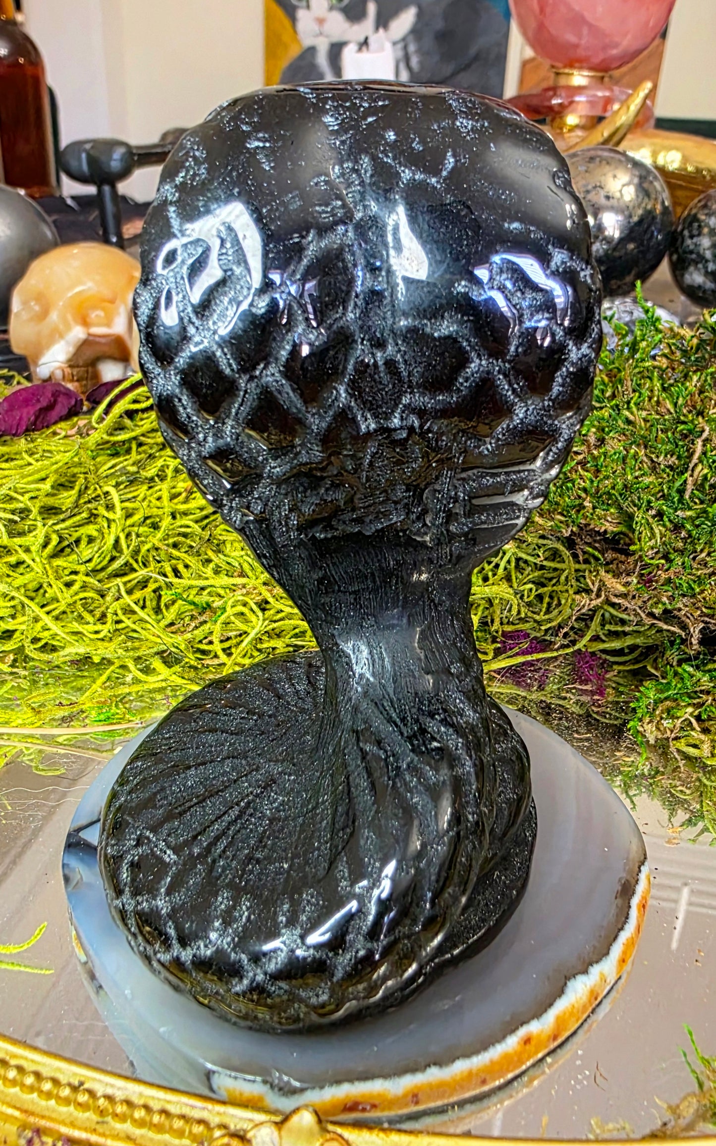 Black Obsidian Cobra