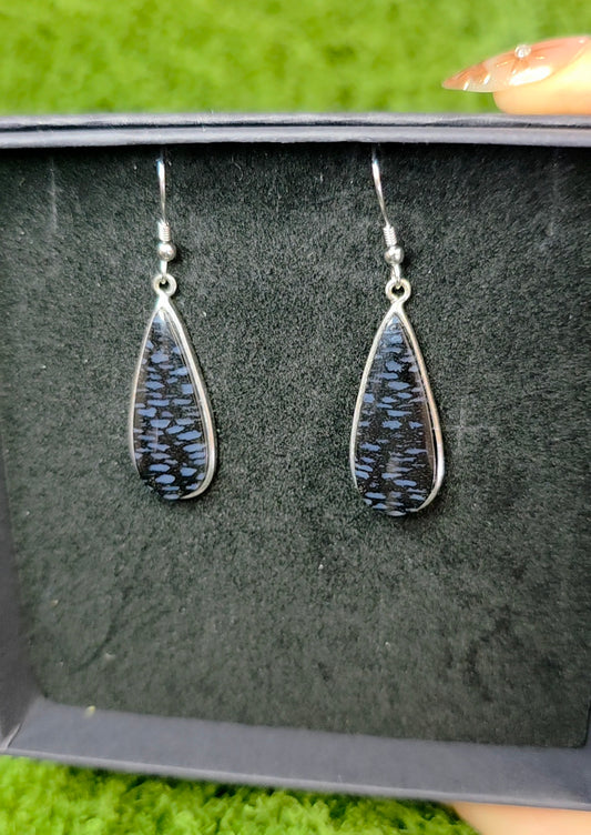 Fossilized Palm Root Teardrop Earrings