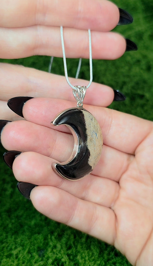 Fossilized Palm Root Moon Pendant