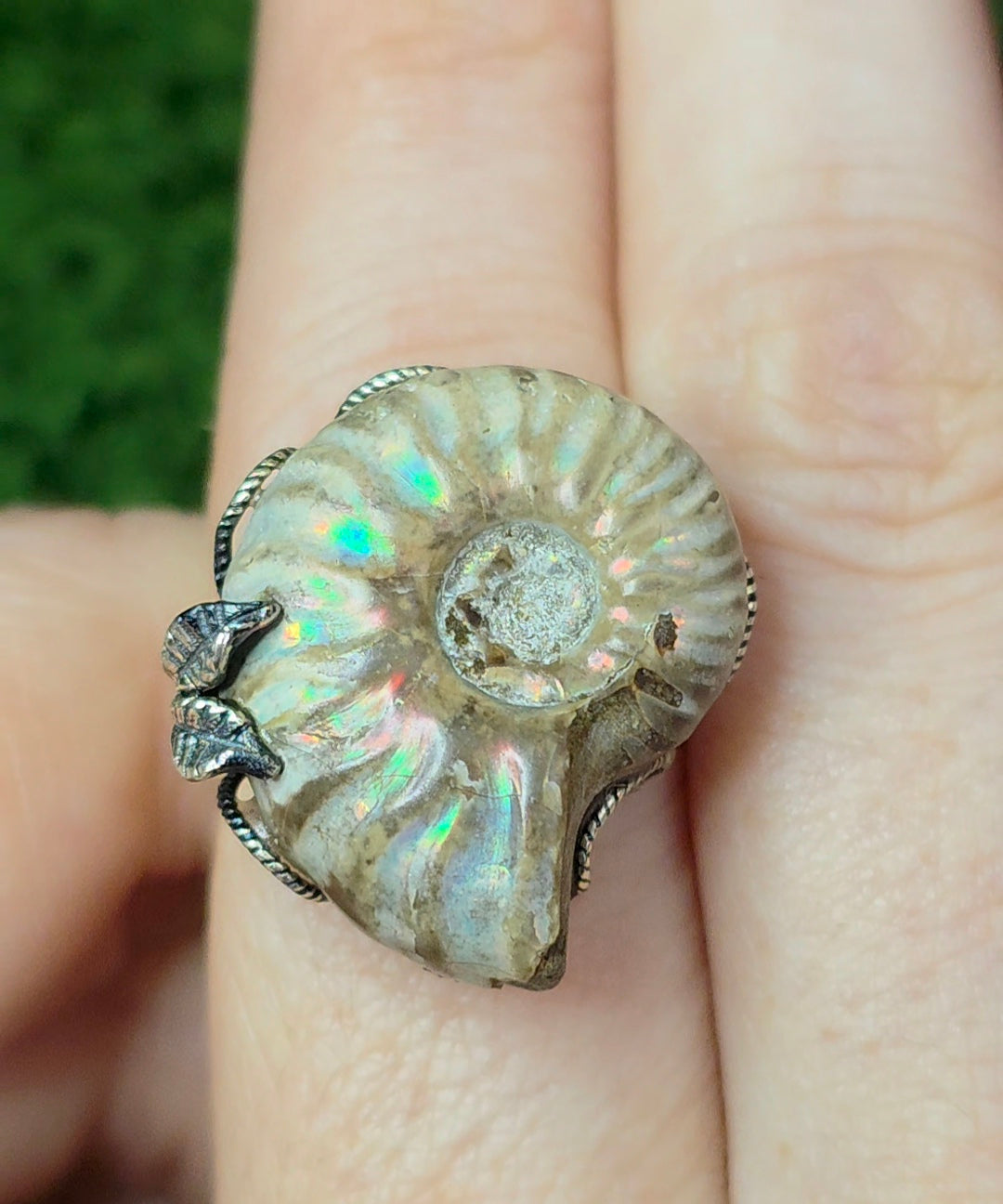 Ammonite Ring A