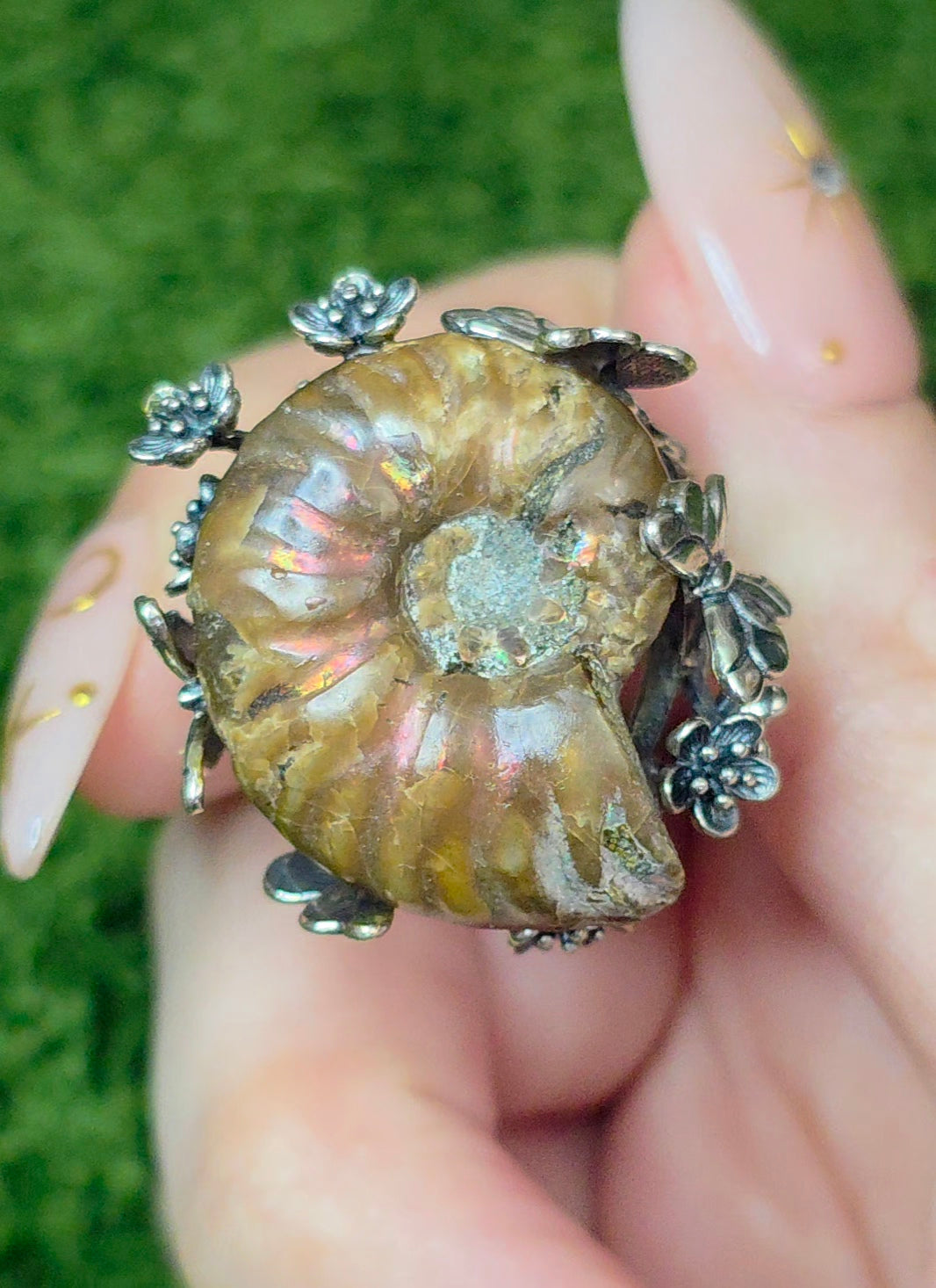 Ammonite Ring B