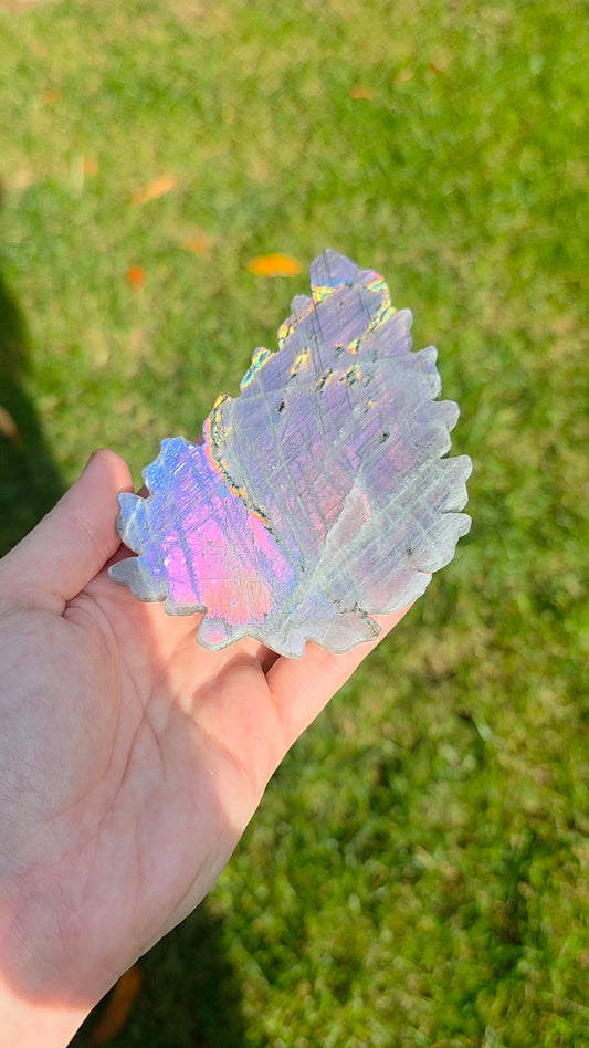 Rainbow Labradorite Leaf on Stand A