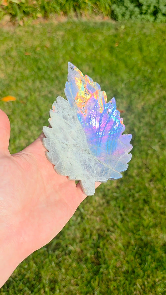 Rainbow Labradorite Leaf on Stand C