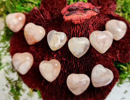 Flower Agate Heart Earrings