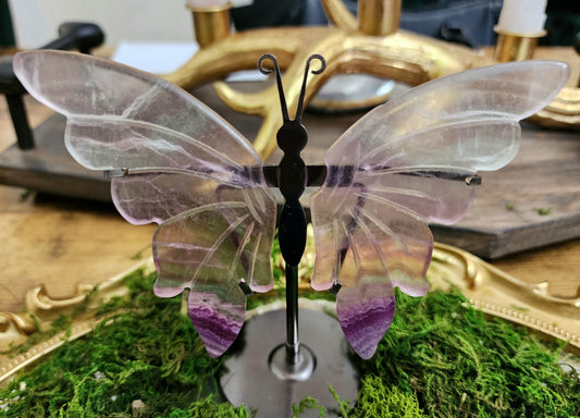 Fluorite Butterfly Wings