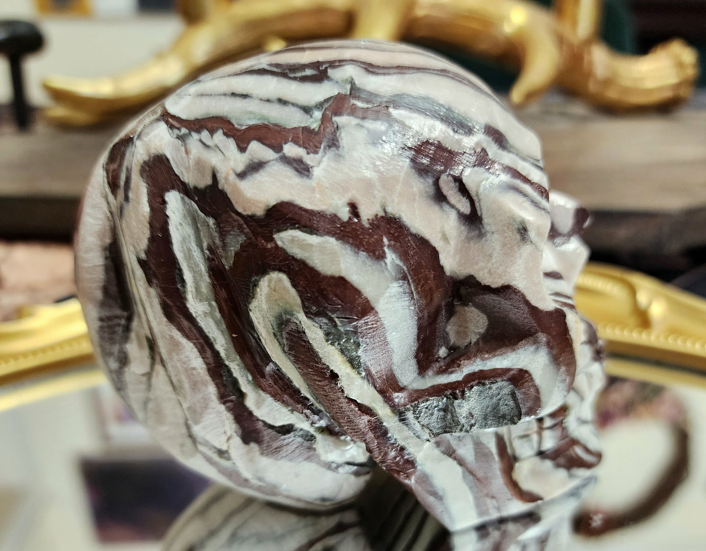 Red Zebra Jasper Skull