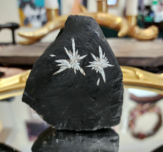 Chrysanthemum Stone Freeform A