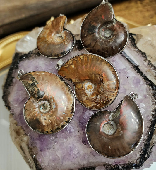 Ammonite Fossil Pendant