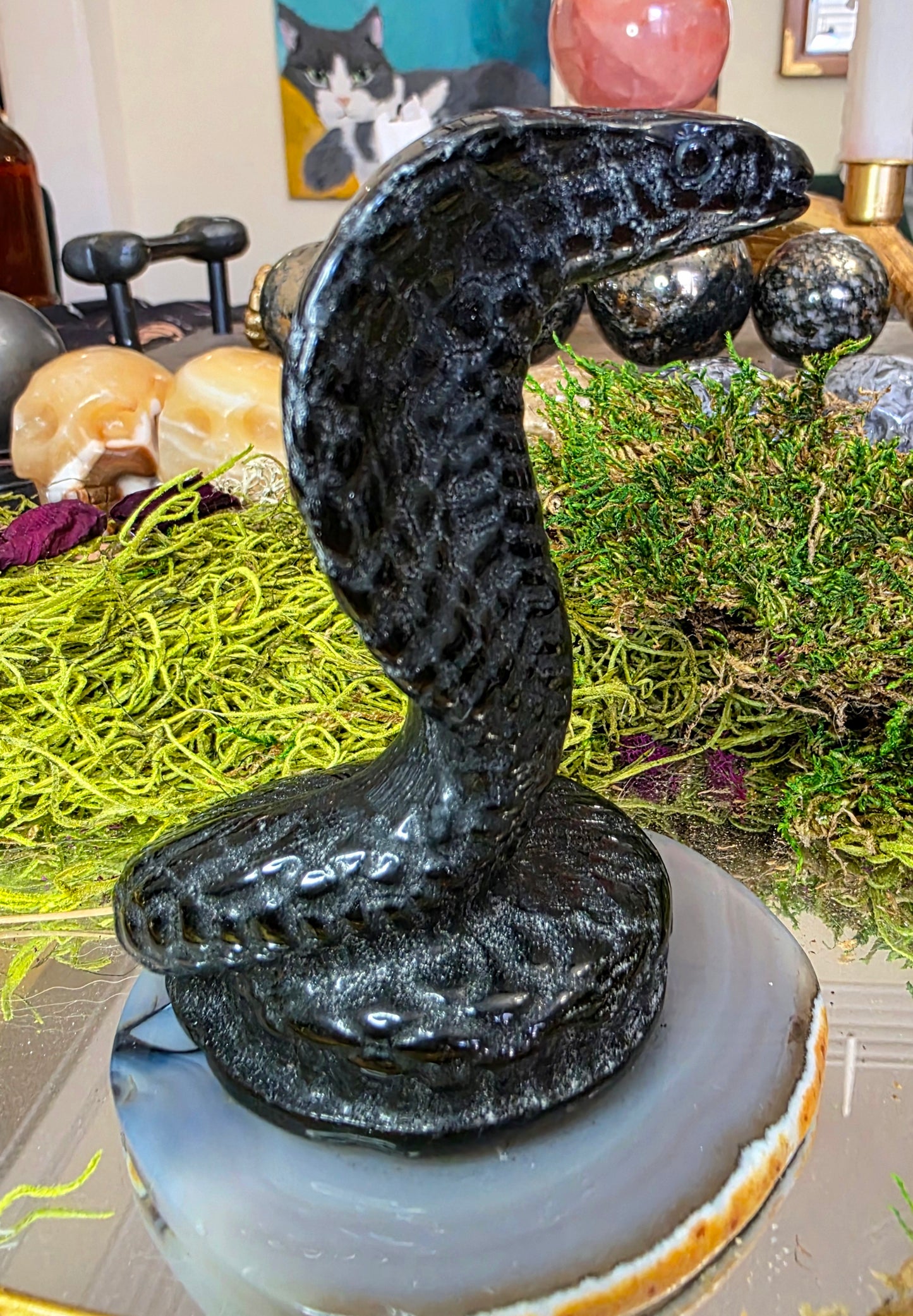 Black Obsidian Cobra