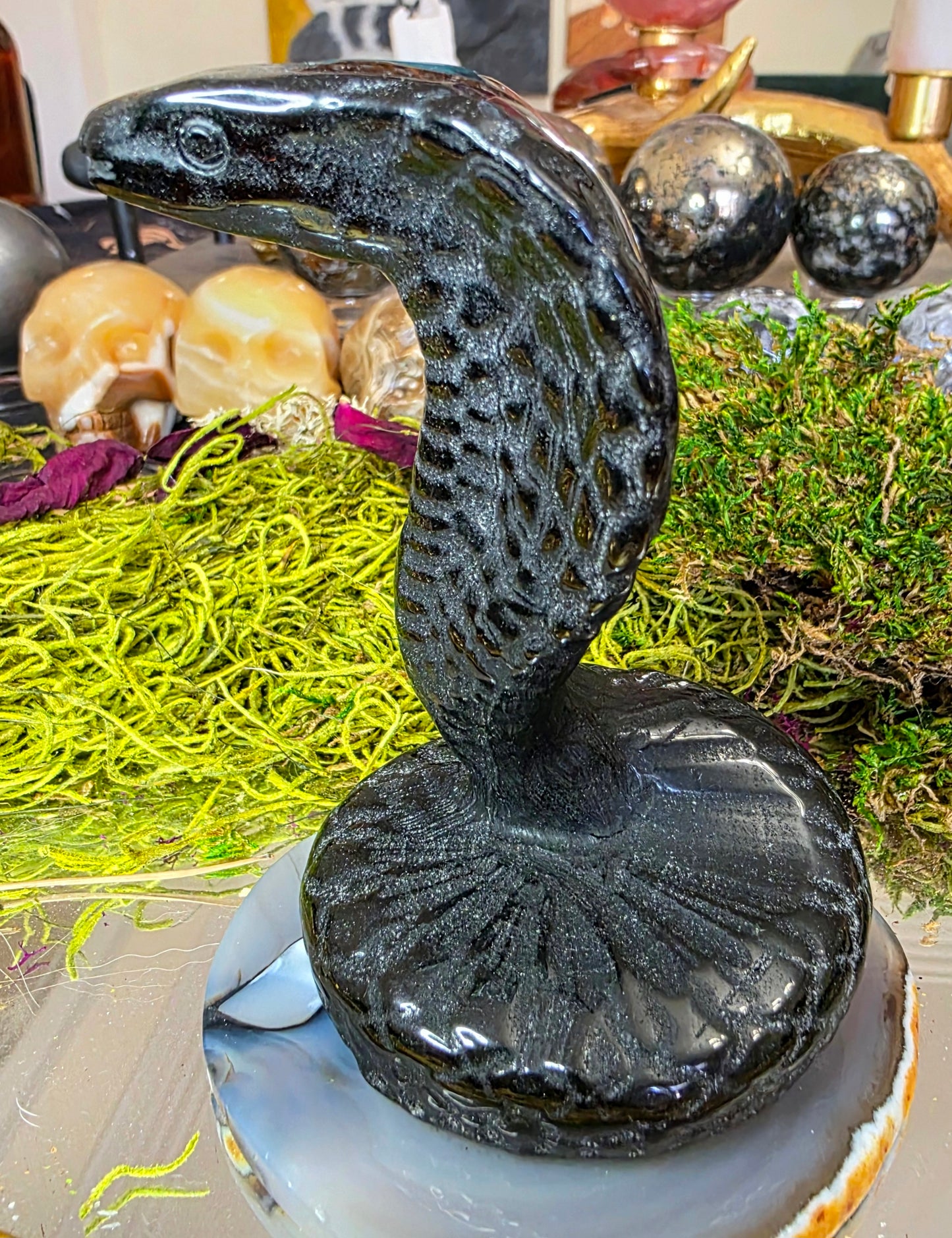 Black Obsidian Cobra