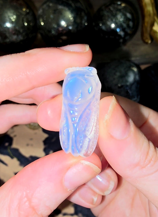 Rainbow Moonstone Cicada A