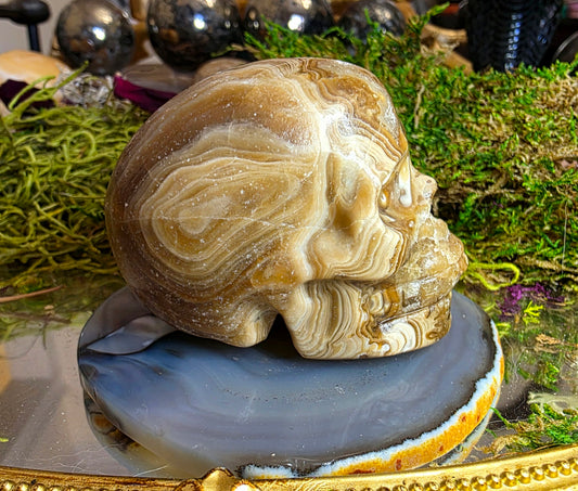 Chocolate Calcite Skull A