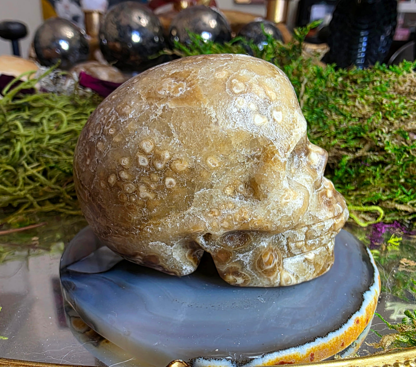 Chocolate Calcite Skull B