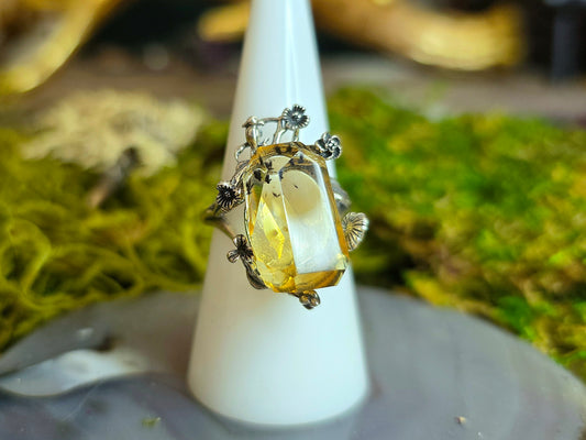 Citrine with Hollandite Ring B
