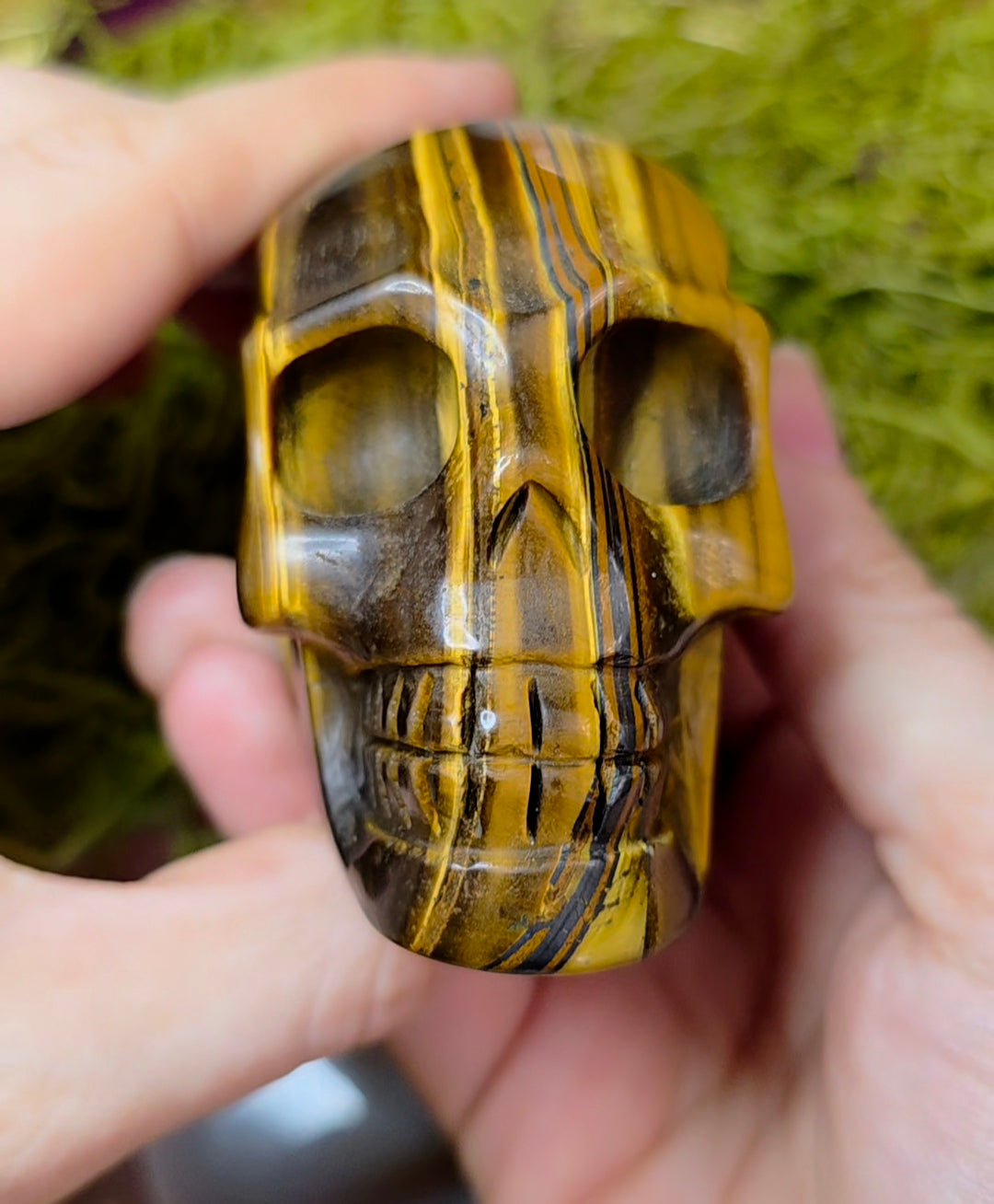 Tigers Eye Skull