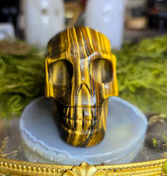 Tigers Eye Skull