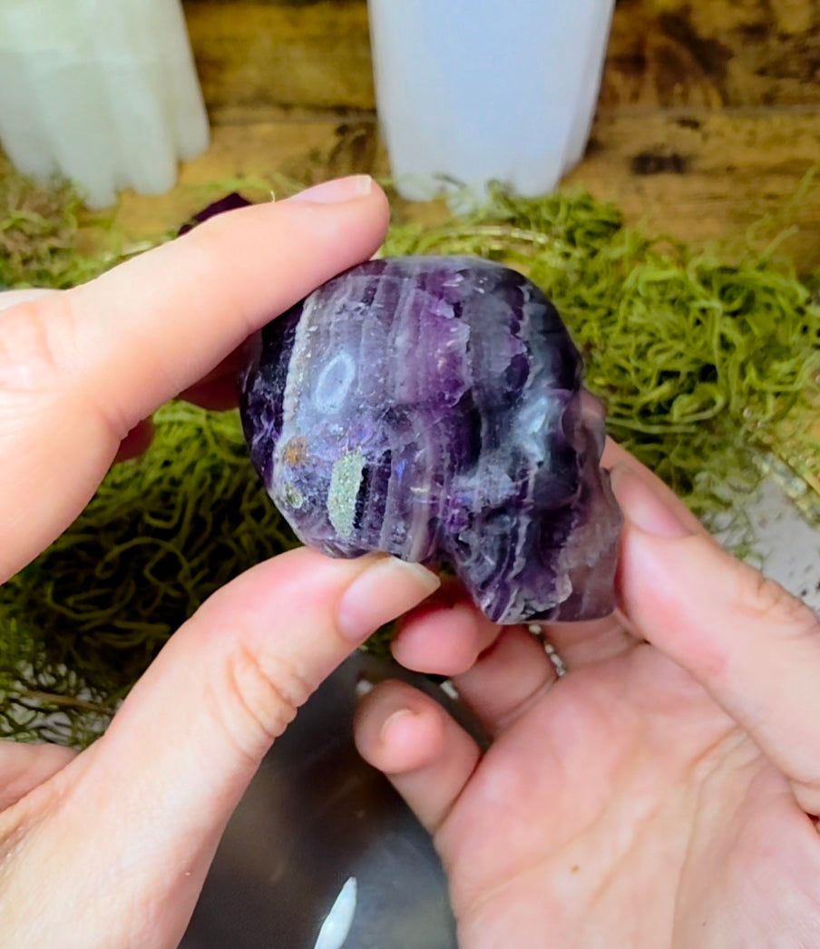 Root Fluorite Skull A