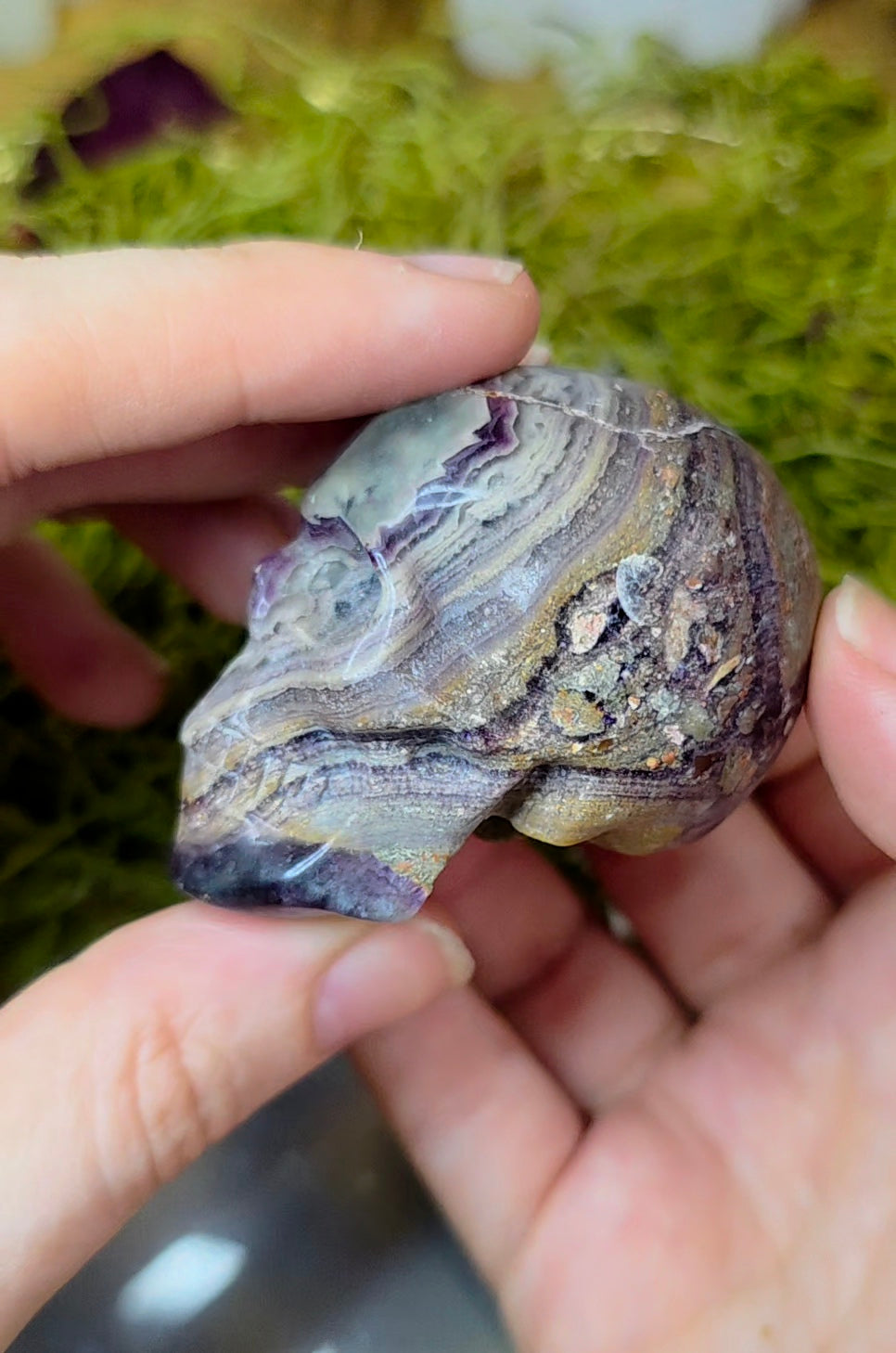 Root Fluorite Skull C