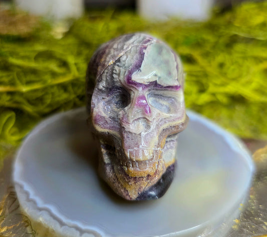 Root Fluorite Skull C