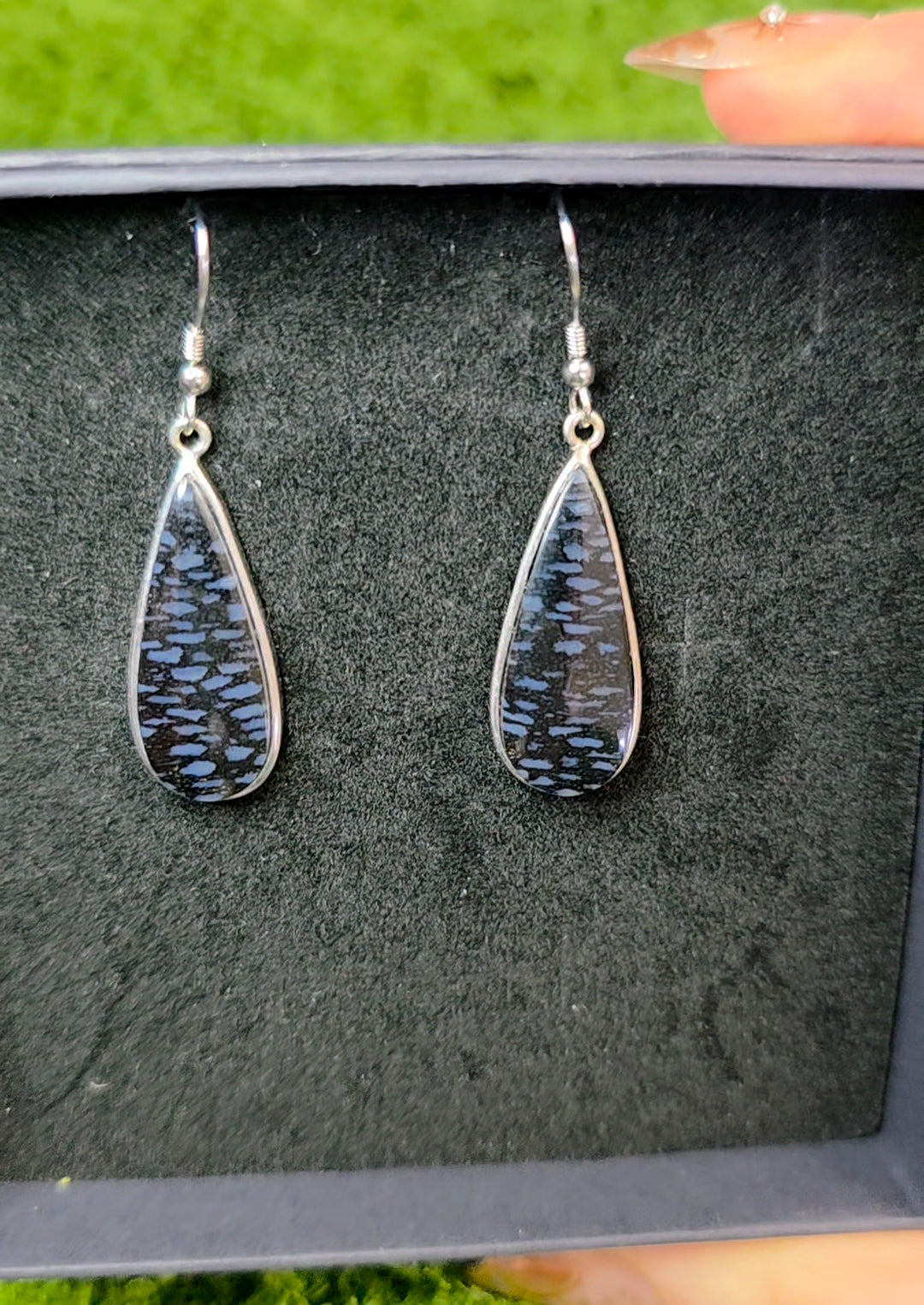 Fossilized Palm Root Teardrop Earrings