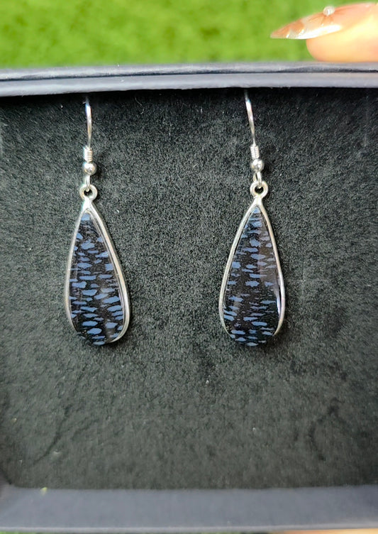 Fossilized Palm Root Teardrop Earrings