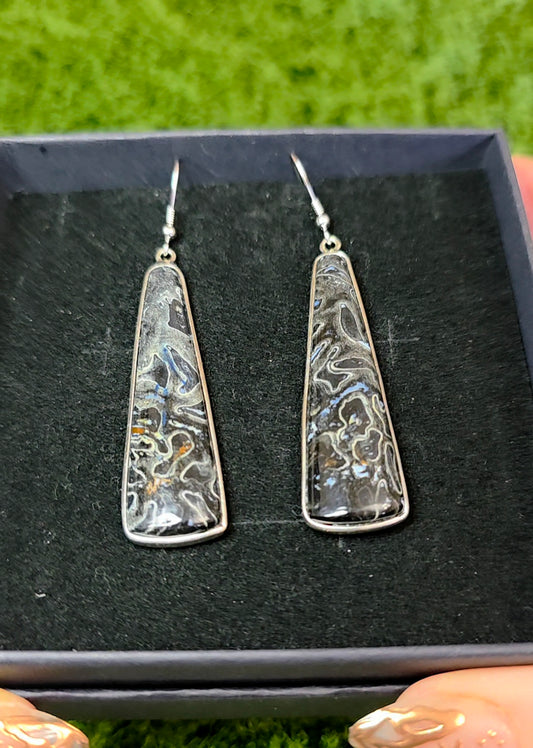 Fossilized Palm Root Earrings