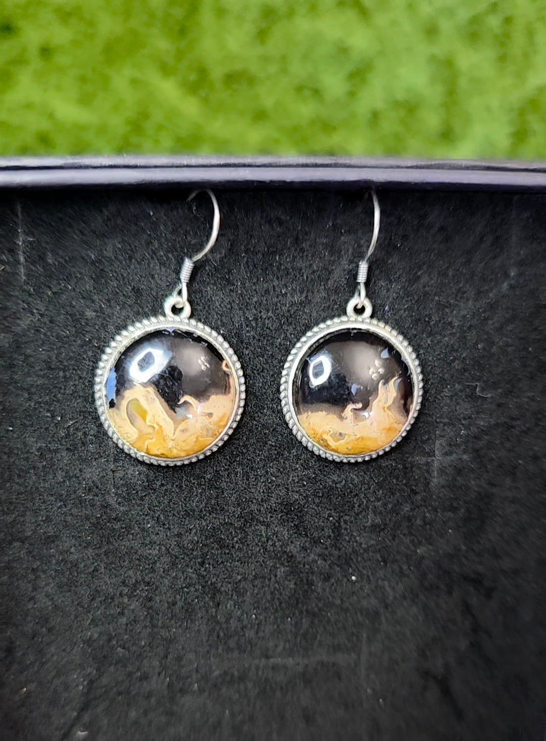 Fossilized Palm Root Button Earrings