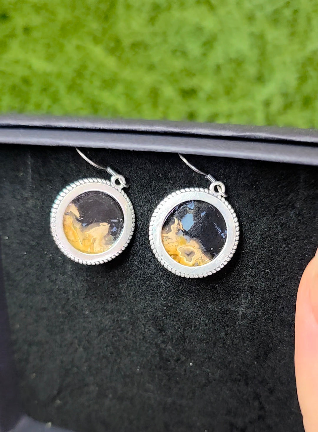 Fossilized Palm Root Button Earrings