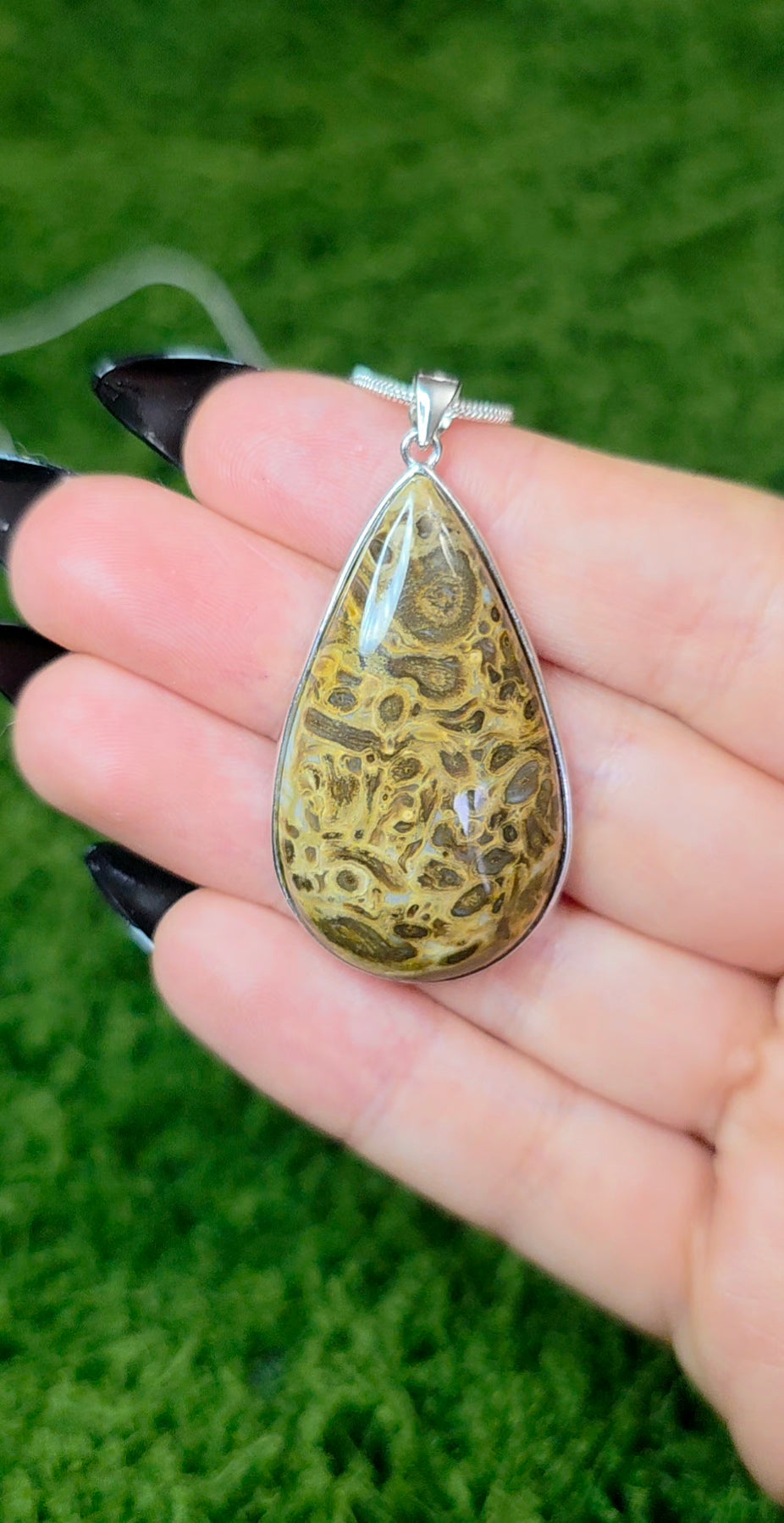 Fossilized Palm Root Teardrop Pendant