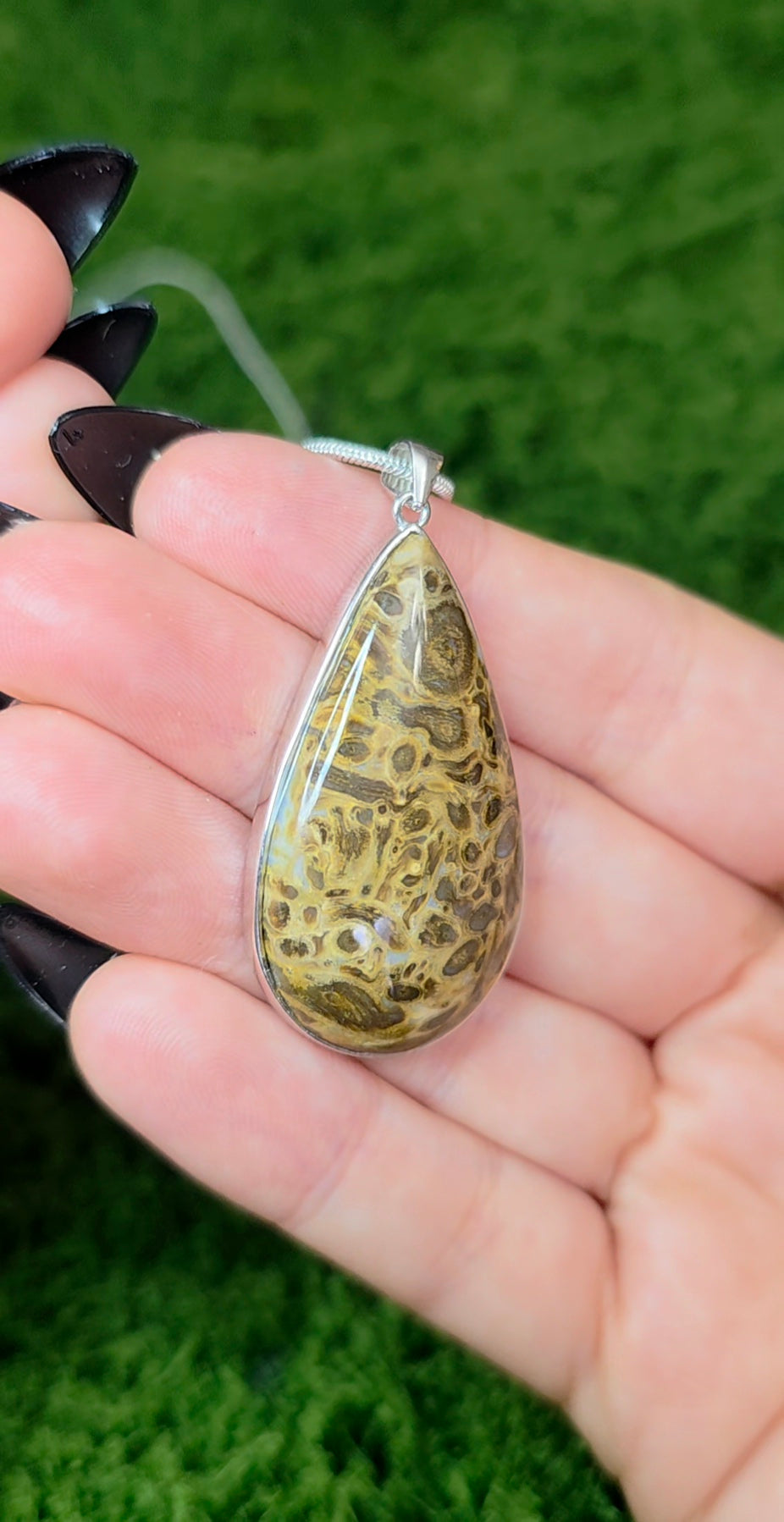 Fossilized Palm Root Teardrop Pendant