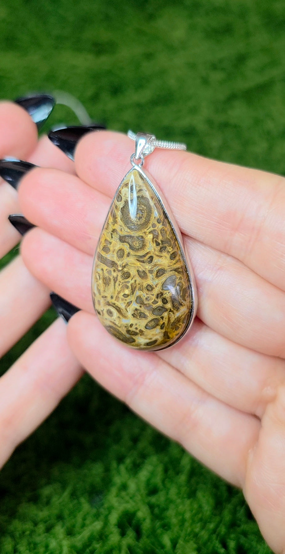 Fossilized Palm Root Teardrop Pendant