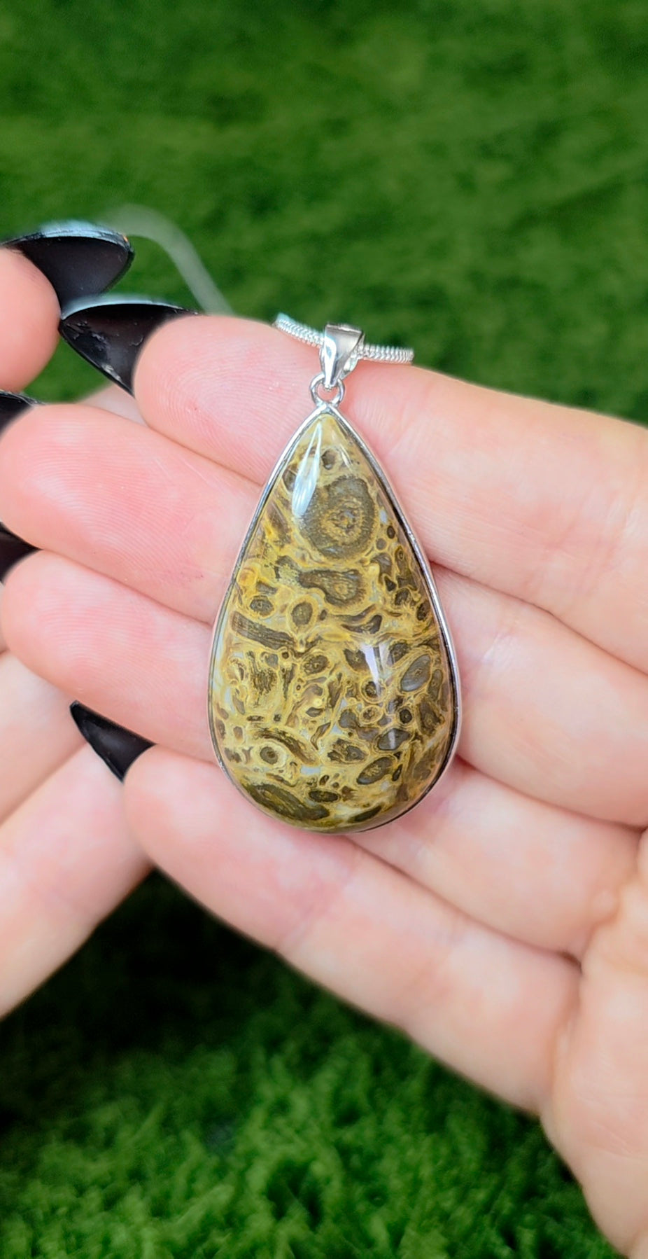 Fossilized Palm Root Teardrop Pendant