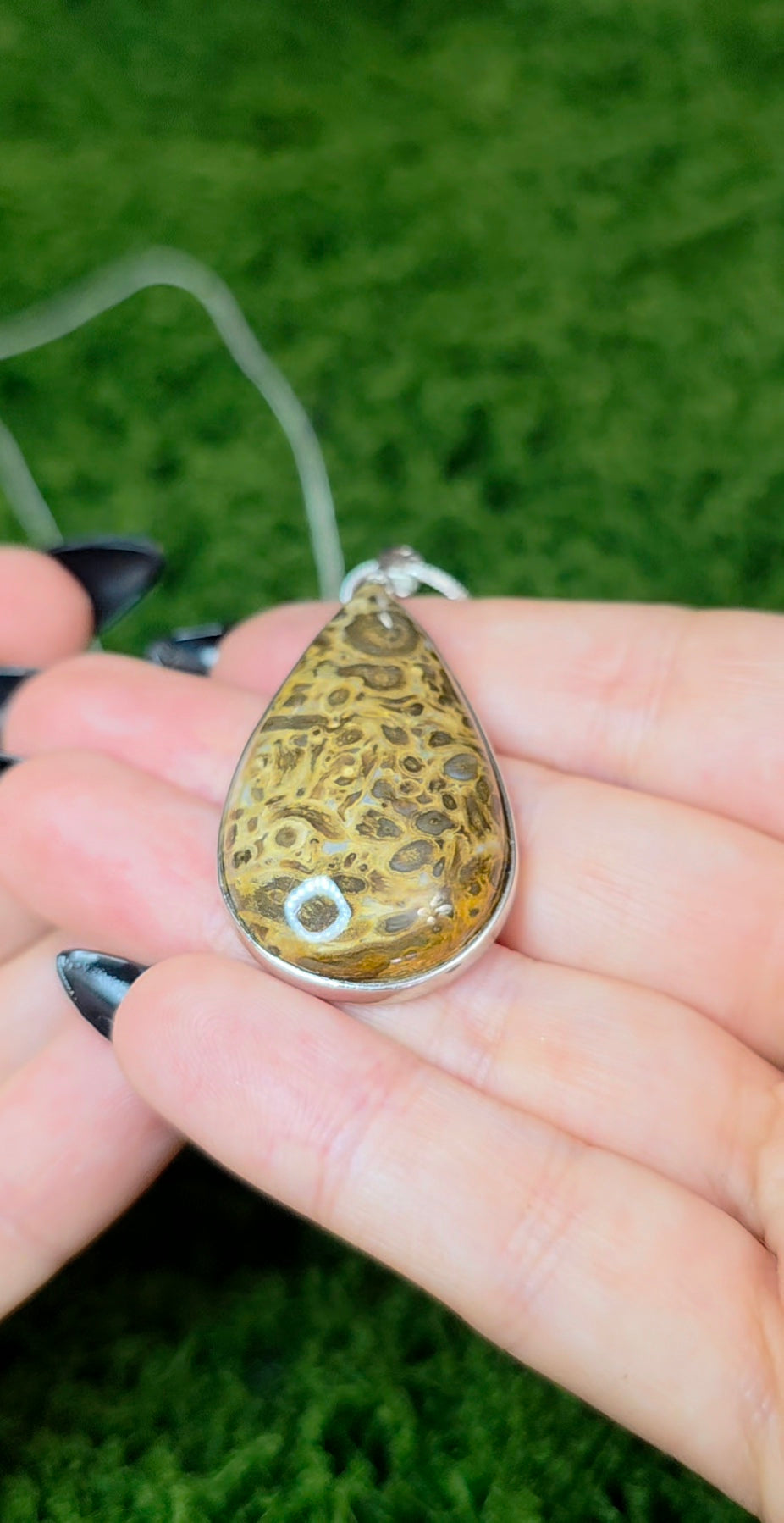Fossilized Palm Root Teardrop Pendant