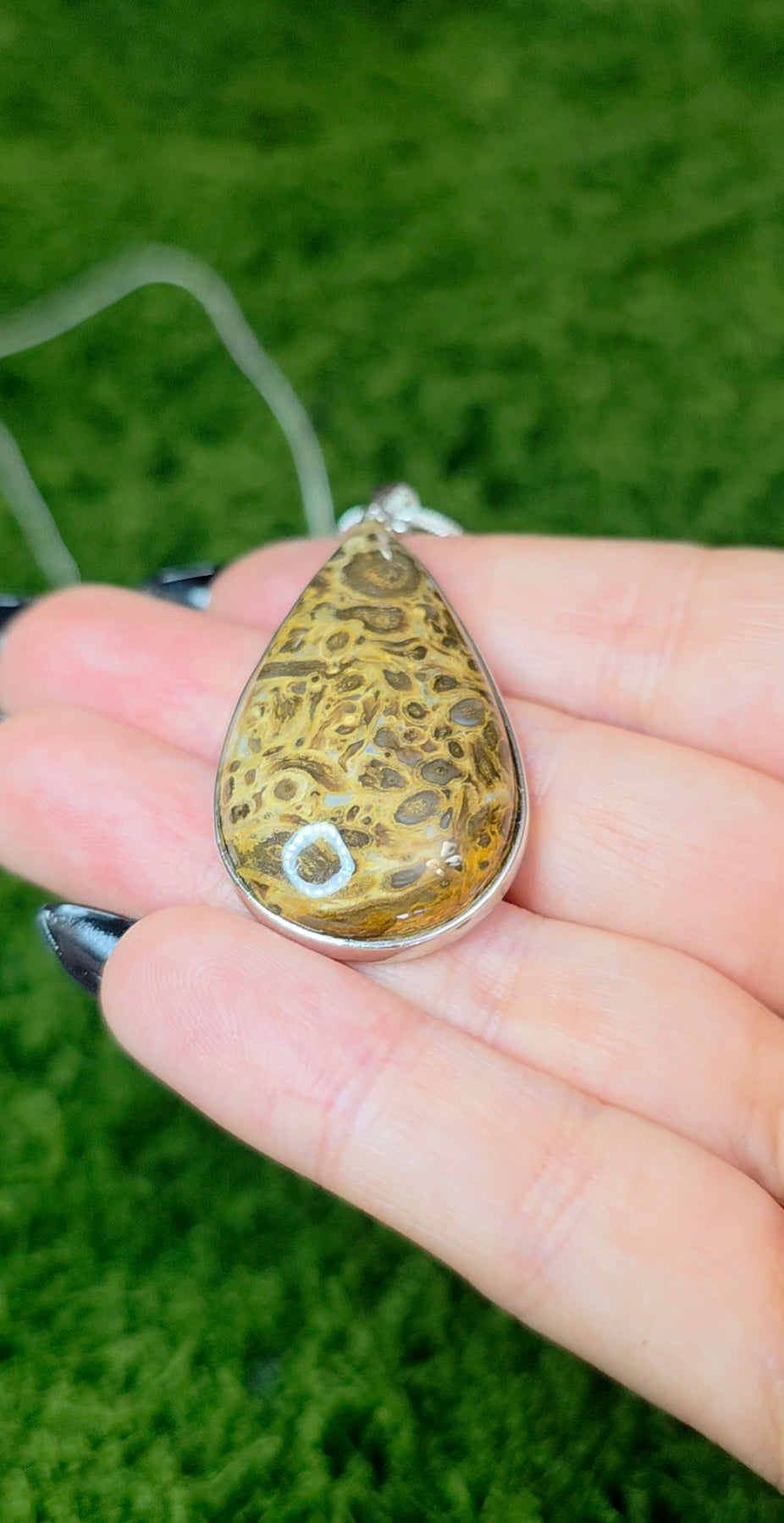 Fossilized Palm Root Teardrop Pendant
