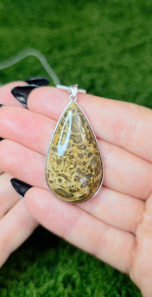 Fossilized Palm Root Teardrop Pendant