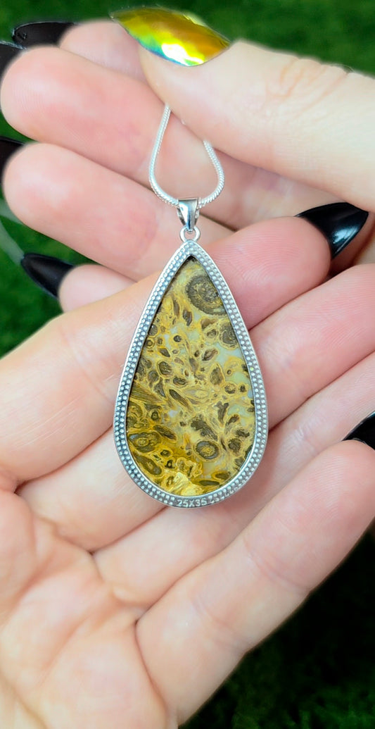 Fossilized Palm Root Teardrop Pendant