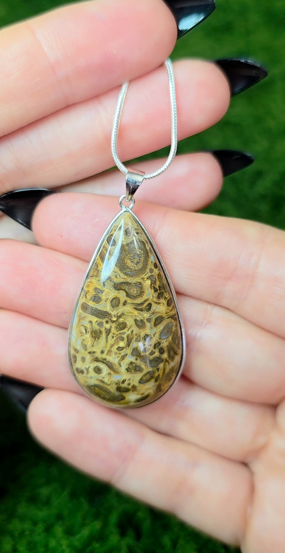 Fossilized Palm Root Teardrop Pendant