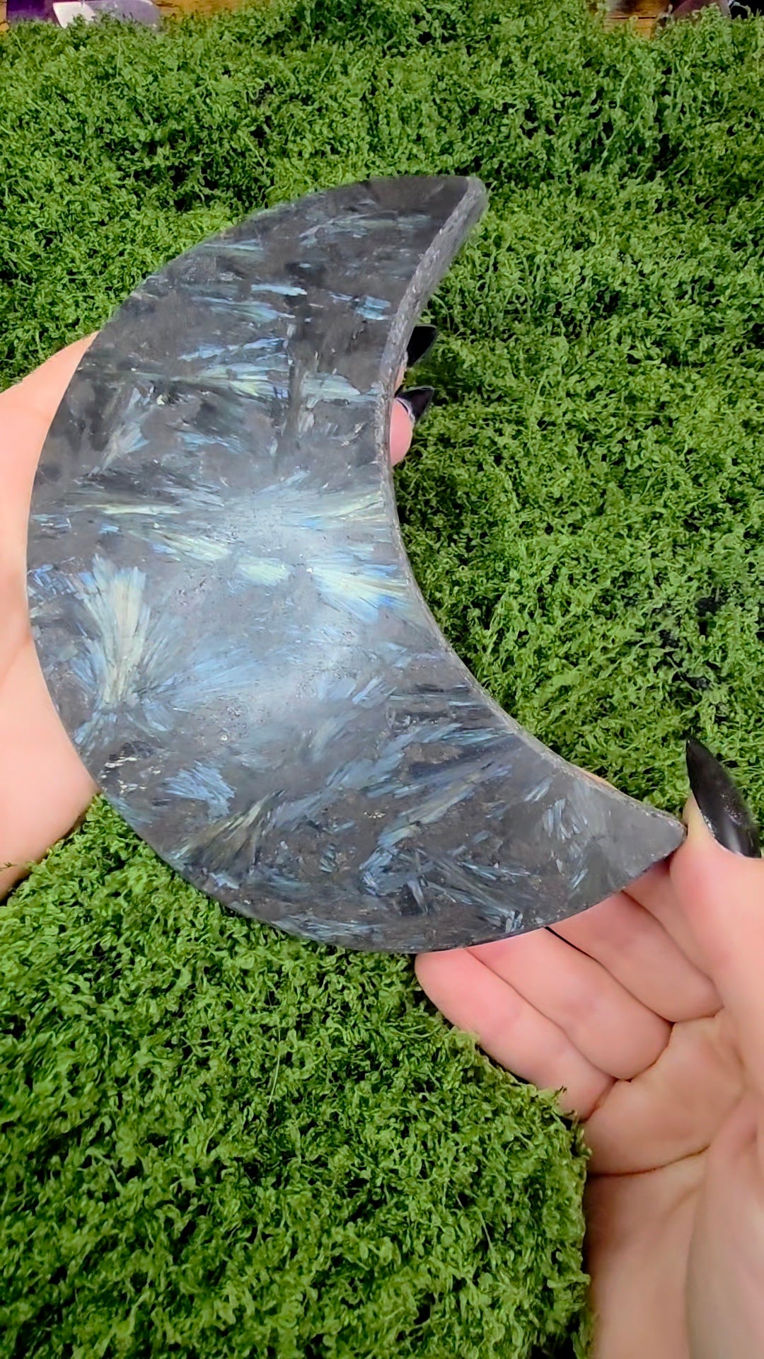 Astrophyllite Moon A