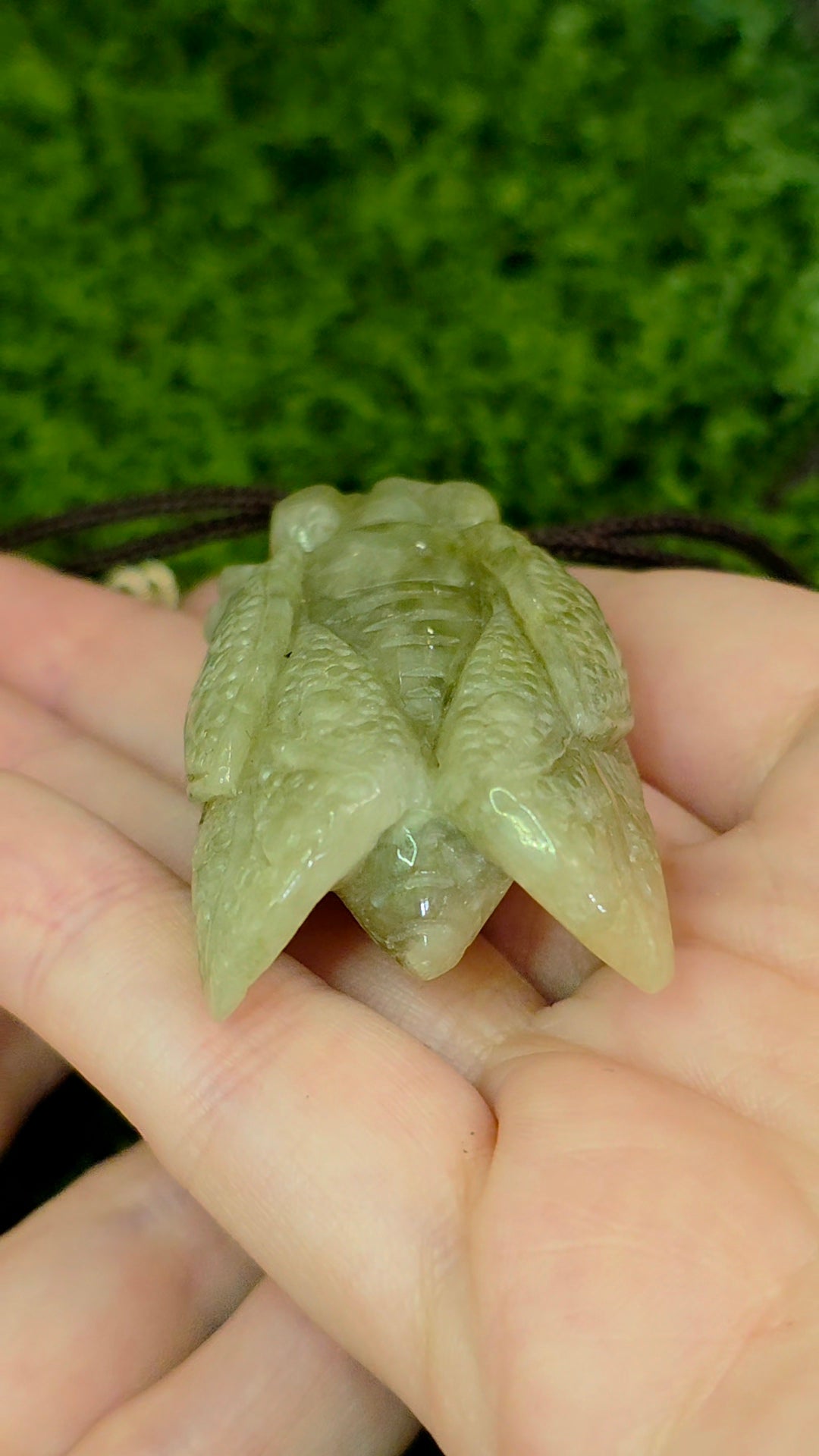 Jadeite Cicada Pendant Necklace B