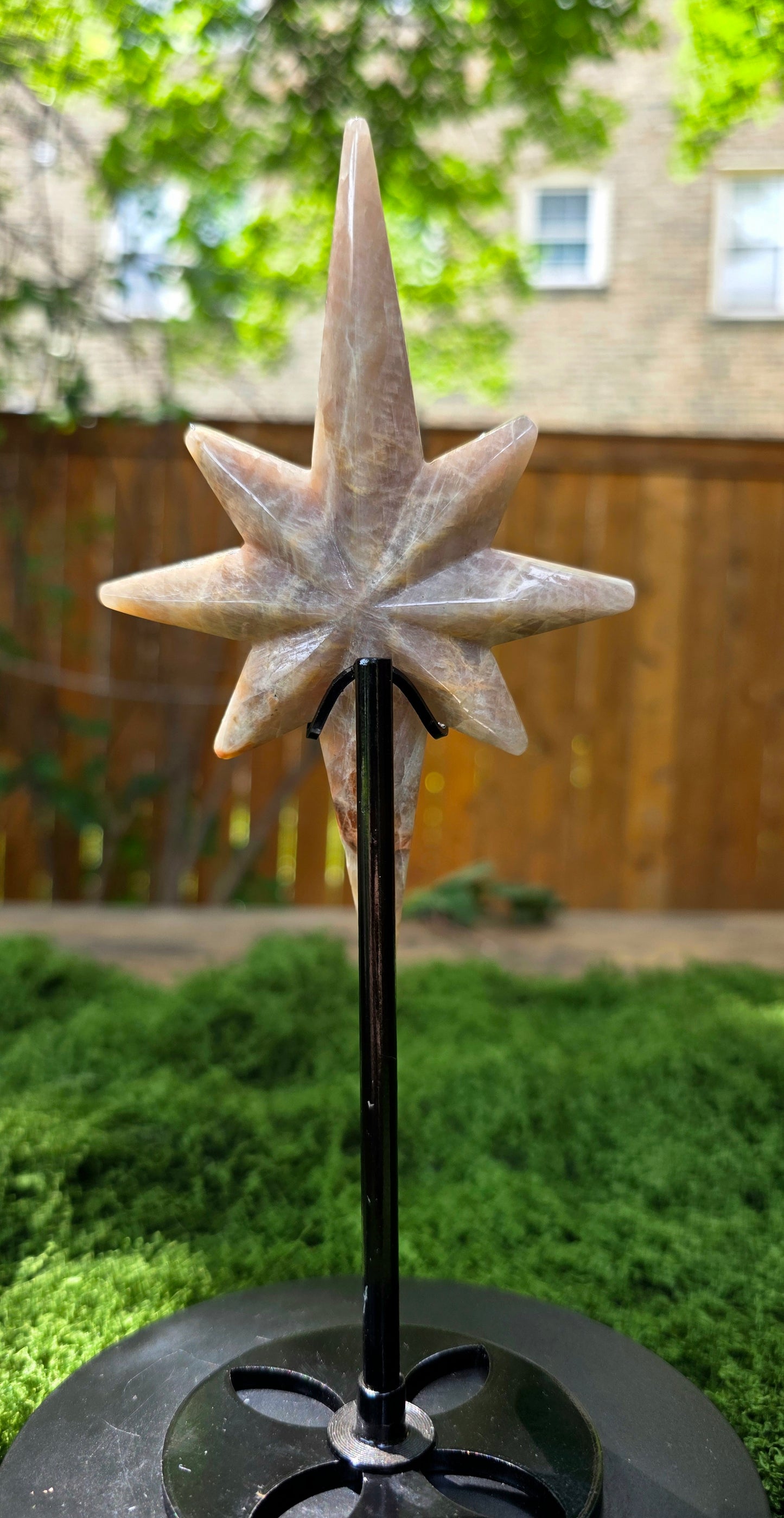 Moonstone Polaris Star