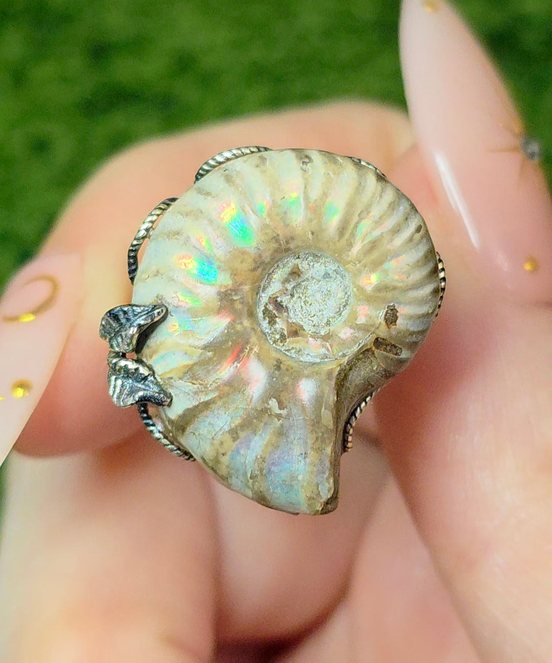 Ammonite Ring A