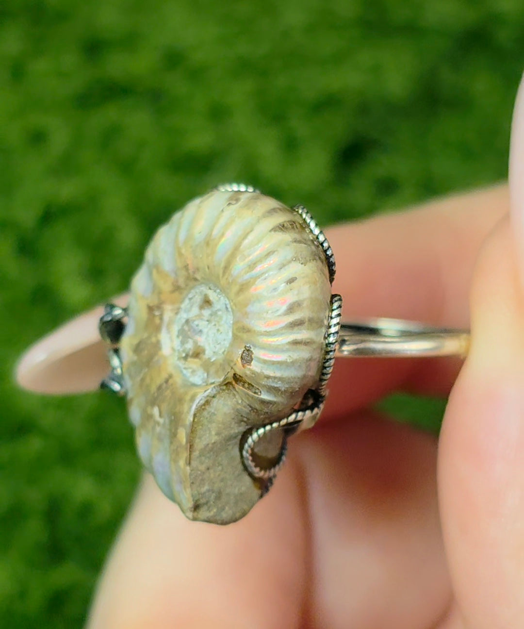 Ammonite Ring A