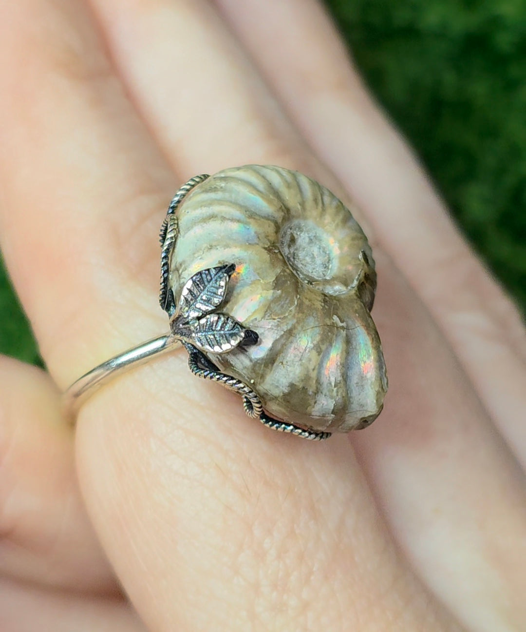 Ammonite Ring A