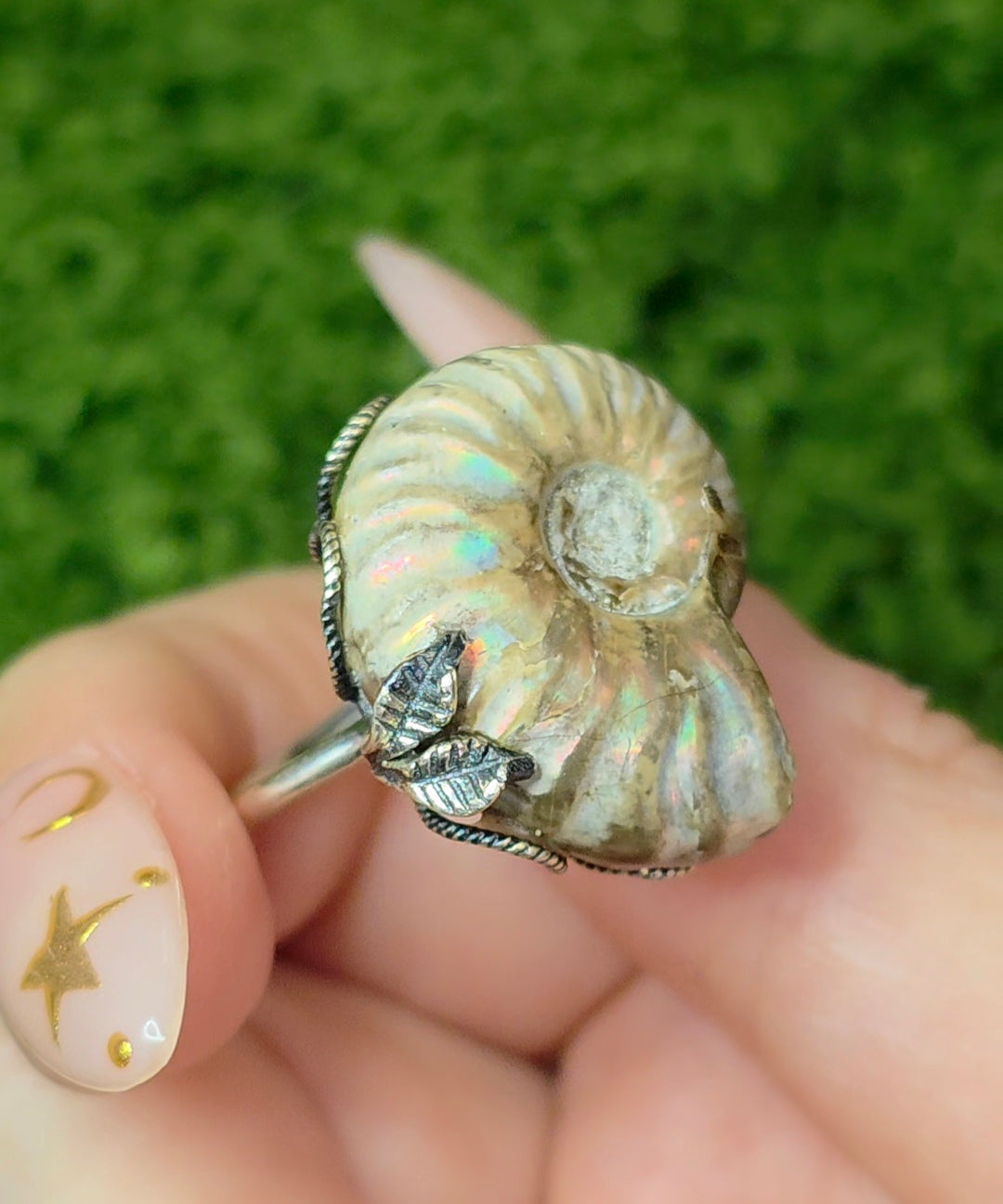 Ammonite Ring A