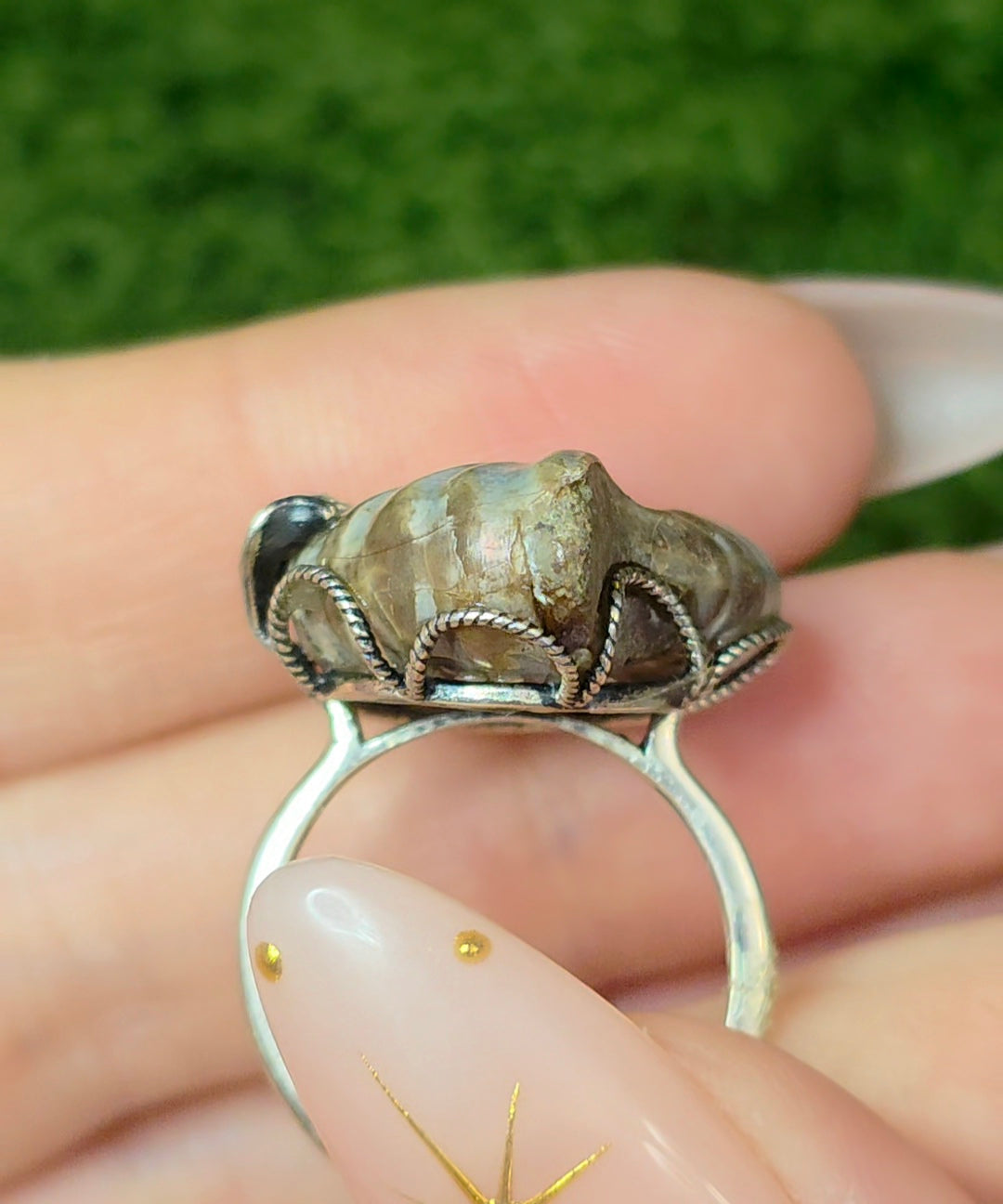 Ammonite Ring A