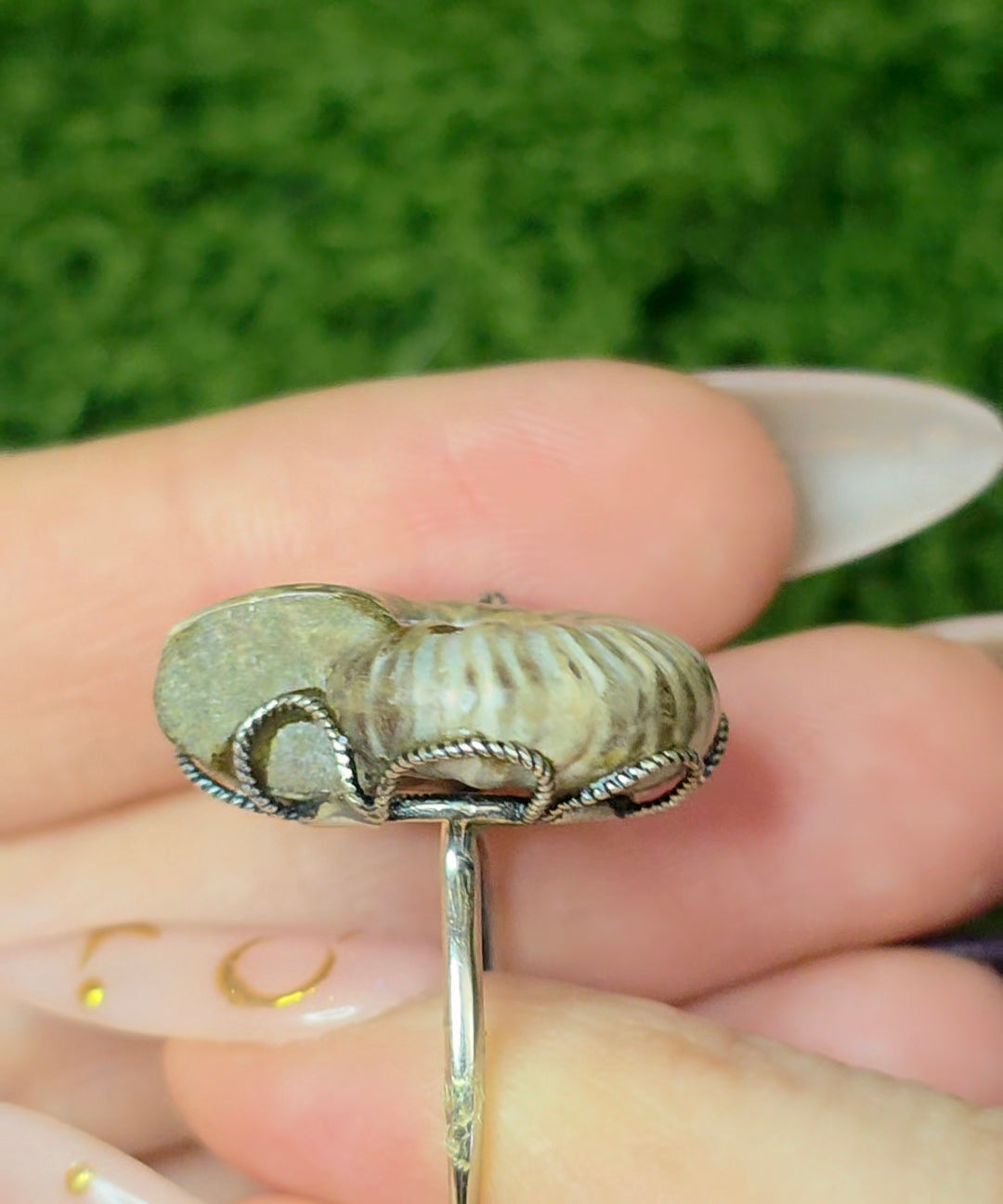 Ammonite Ring A