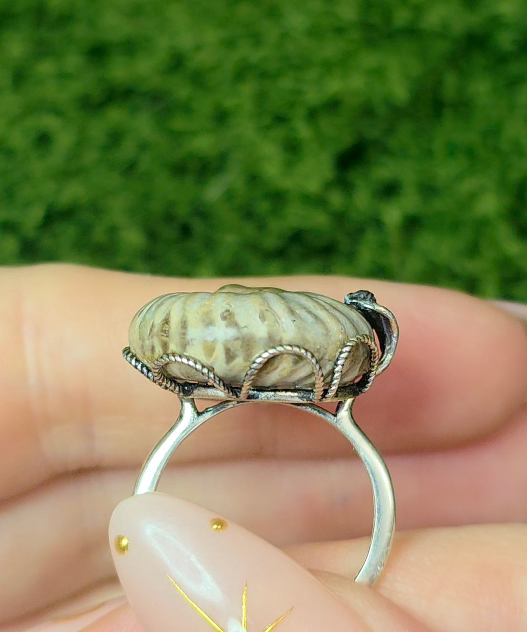 Ammonite Ring A