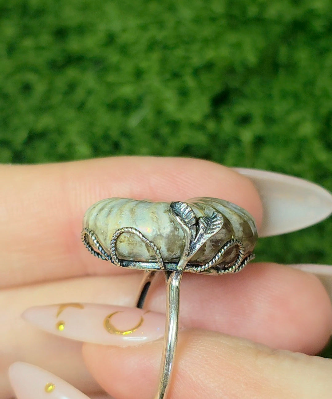 Ammonite Ring A