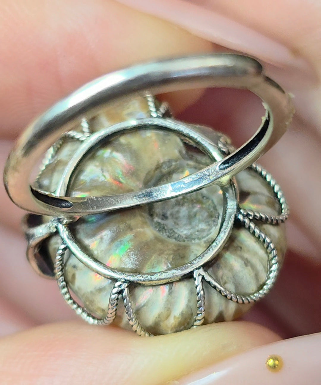 Ammonite Ring A